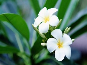 聚氨酯密封件材料的應(yīng)用